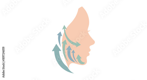 Female face in profile with uplifting arrows. Concept of skin rejuvenation, anti-aging, and cosmetic treatment for beauty and health. Transparent background