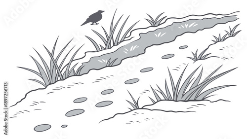 Bird perched on dry creek bed with sparse vegetation