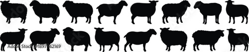 Group of black silhouette sheep standing in two rows displaying different body shapes and woolly textures a comprehensive visual of ovine forms