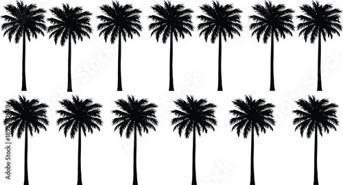Palm tree silhouettes vector illustration arranged in repeating pattern, tropical design with black trees on white background for decoration, summer, beach, and travel projects