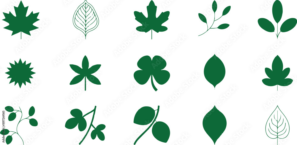 Fototapeta premium Nature and Botanical Symbol Icons for Eco Branding Vector Set