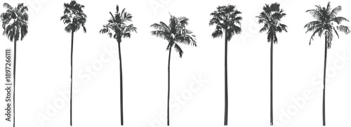 Collection of tall, slender palm trees in a dark silhouette against a white background, evoking tropical landscapes and exotic vacation vibes