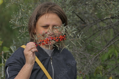 a girl picks ripe orange sea buckthorn berries on a sunny day in autumn