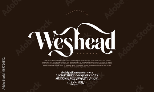 Elegant Font Uppercase Lowercase And Number. Classic Lettering Minimal Fashion Designs. Typography modern serif fonts regular decorative vintage concept. vector illustration