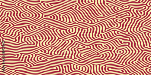 Abstract Organic Pattern of Intertwined Lines.