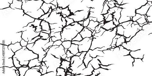 Abstract Black Cracks on White Background Texture.