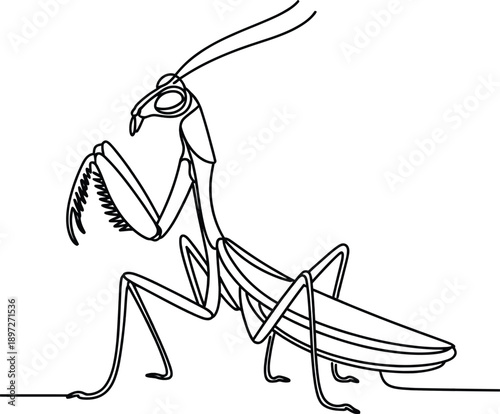 A line drawing of a praying mantis insect standing on a surface outdoors alone