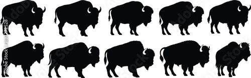 Array of black silhouette depicting American bison with distinctive humps and curved horns in different postures