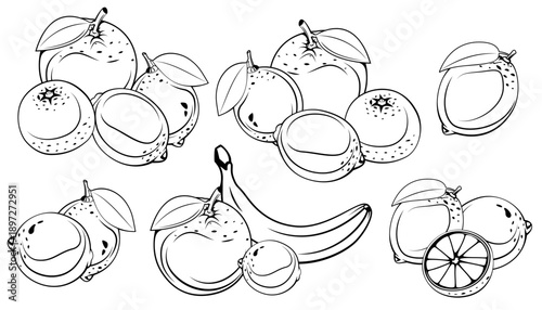 Fruits Silhouette Illustration. Hand Drawn Banana, Orange, Lemon, Grapefruit. Line Drawing on white. Exotic Fruits isolated