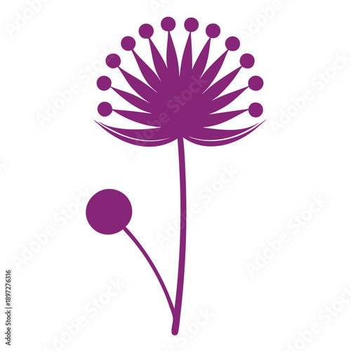 silhouette of allium purple sensation flower
