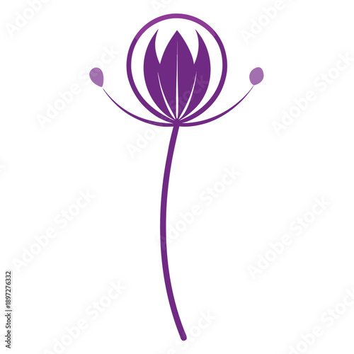 allium purple sensation line art flower on white background