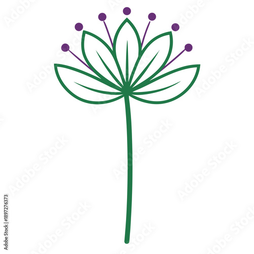 allium giganteum line art flower vector