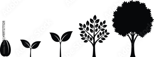 Black Silhouette Illustration Representing the Developmental Life Cycle Stages of a Tree Growing from a Single Seed to a Full Mature Leafy Plant