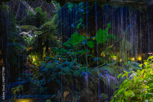 Photography SINGAPORE - DECEMBER 25, 2025: Breathtaking botanical landscapes and futuristic architecture inside the Flower Dome and Cloud Forest conservatories at Gardens by the Bay