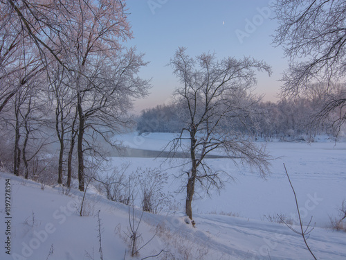 Wallpaper Mural winter landscape with trees and snow Torontodigital.ca