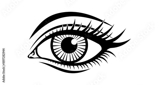 Elegant Stylized Female Eye with Long Eyelashes Icon, Isolated White Background