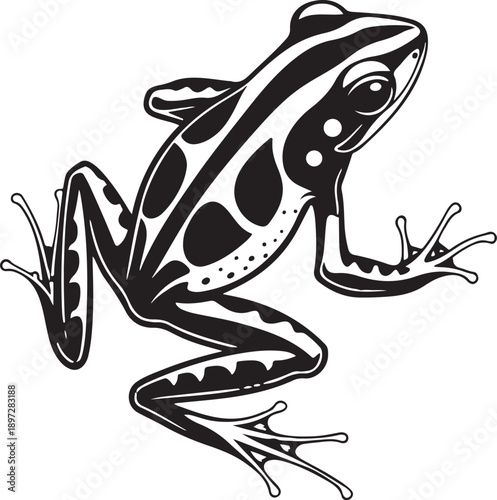 Premium black silhouette vector of poison dart frog tropical amphibian minimalist flat design isolated on transparent background professional stock illustration