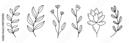 Flowers line drawing set with minimalist black outlines and delicate botanical details, perfect for nature-themed designs, floral patterns, spring motifs, and botanical art projects