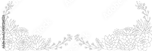 Decorative floral border with intricate line art of succulents and leafy plants, elegant and detailed design for invitations, borders, or botanical themes in minimalistic style