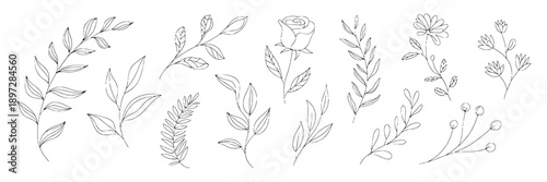 Flowers botanical sketch with delicate line art depicting varied blooms and foliage, minimalist style, suitable for gardening, nature, or floral design projects in monochrome.