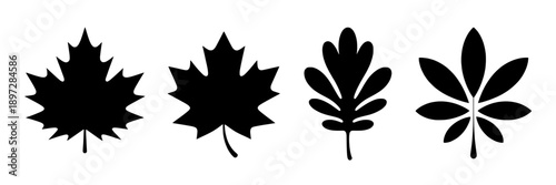 Leaves branch silhouette collection with varied shapes and sizes, simple black icons representing foliage, minimalistic style for botanical, nature, and environmental design use