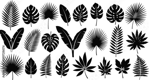 Large collection of black tropical leaf silhouettes including monstera palm and fern isolated on white background, cad drawing flat vector illustration