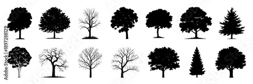 Trees silhouette collection with black leafless, coniferous, and ornamental varieties in diverse shapes, detailed sketches, and minimalistic styles for landscaping, design, and educational purposes