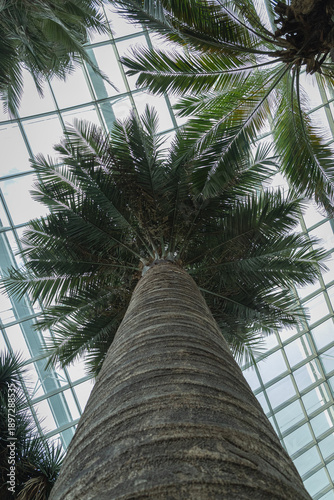 SINGAPORE - DECEMBER 25, 2025: Breathtaking botanical landscapes and futuristic architecture inside the Flower Dome and Cloud Forest conservatories at Gardens by the Bay.