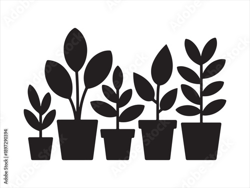 Indoor houseplants silhouettes vector set, potted tropical plants collection. botanical decor, black icons vector illustration