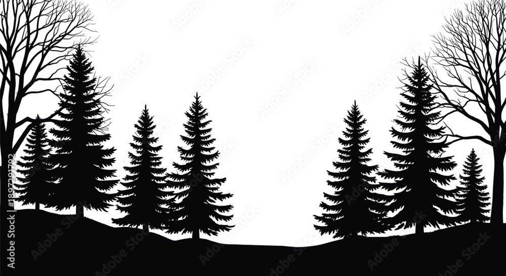 Fototapeta premium Black and white forest silhouette, coniferous pine trees, bare branches, winter landscape, natural clearing, serene woodland scene, artistic nature illustration, scenic design