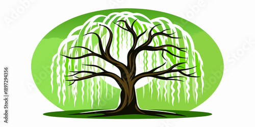A stylized illustration of a weeping willow tree against a green backdrop