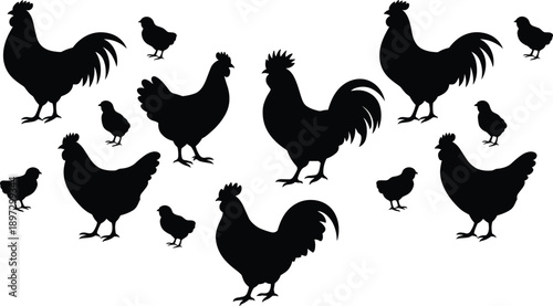 Chicken and rooster silhouette illustration set, farm poultry birds including hen and chicks, black animal shapes collection, vector isolated on white background