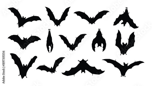 Collection of bat silhouettes Vector