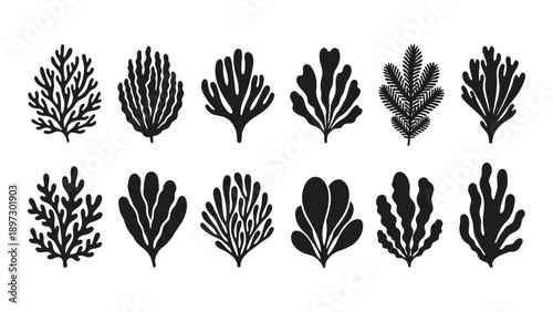 Collection of various plant silhouettes Vector
