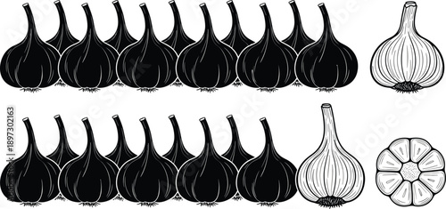 Collection of Black and White Garlic Bulb Illustrations Including Silhouettes Outlines and Cross Section Views for Culinary and Cooking Designs.