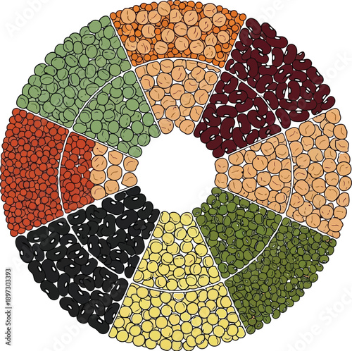 A diverse circular arrangement of various colorful dried beans and legumes displayed in a pie chart format on white