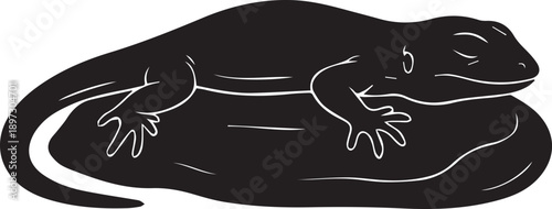 Serene Lizard Silhouette: A tranquil silhouette of a lizard resting peacefully upon a stone, evoking a sense of calm and the beauty of nature.