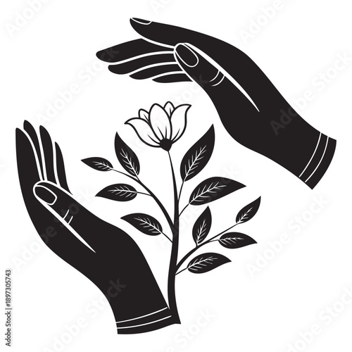  Cultivating the Potential Within Every New Beginning and Opportunity