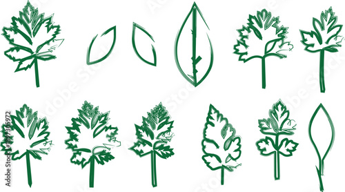 Collection of 10 unique leaf shapes and designs