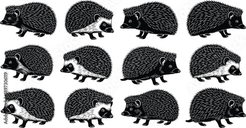 Black and white hedgehog silhouettes set, various wild forest animal poses, prickly mammal icons, woodland nature wildlife graphics for garden design,