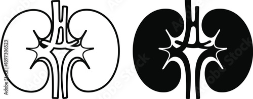 Kidney anatomy icons, medical silhouette illustration, renal system vector, healthcare design art, internal organ symbol, biology concept graphic, anatomy education element