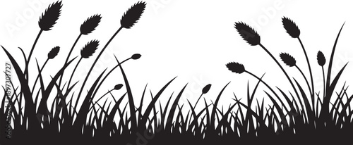 Black Silhouette of Cattails and Grass on White Background