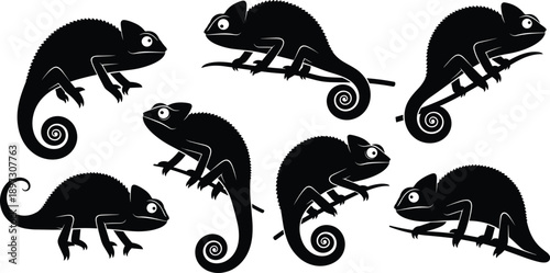 Black chameleon silhouette collection with curled tails, exotic lizard reptile icons, tropical wildlife animals set, nature adaptation graphics, and climbing.