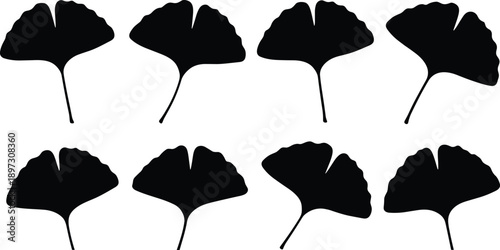 Black ginkgo biloba leaf silhouette collection, botanical nature leaf icons, Japanese herbal medicine graphics, zen garden foliage set, and organic.