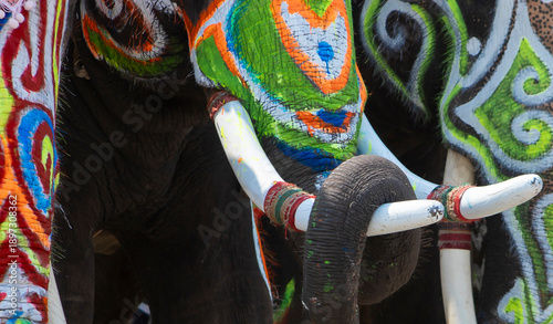 Closed up drawing colourful graphic  on the elephant body with large and long ivory.