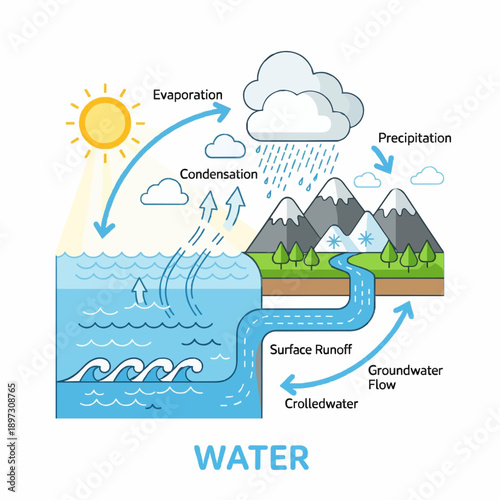 The interconnected natural processes illustrating the continuous circulation of water throughout Earth's atmosphere, land, and oceans, vital for ecosystems and life on our planet