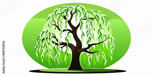 Stylized illustration of a weeping willow tree against a green background