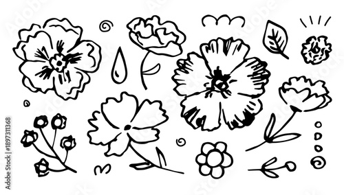 Vector set of floral elements. Various flowers, roses and peonies, buttercups, leaves and twigs, branch, a drop of dew. Hand-drawn drawing in black outline, sketch in ink.
