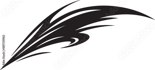 Abstract Black Feather Design Element Isolated on White Background