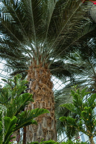 SINGAPORE - DECEMBER 25, 2025: Breathtaking botanical landscapes and futuristic architecture inside the Flower Dome and Cloud Forest conservatories at Gardens by the Bay.